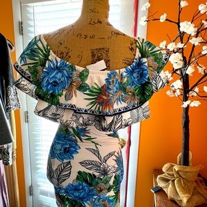 Jealous Tomato Dress